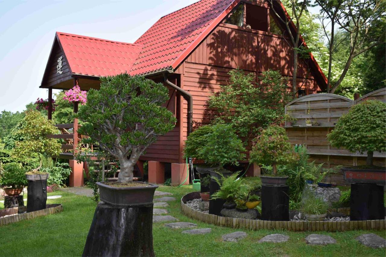 Ogrod Shinrin Yoku Odpoczynek W Lesie Villa Srokowo ภายนอก รูปภาพ